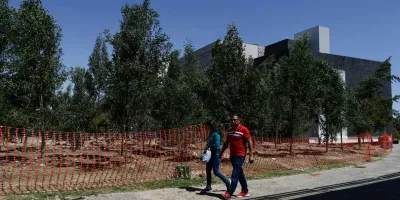 CABLEBÚS. Aceleran reforestación para calmar protestas de ambientalistas