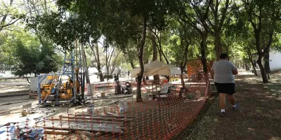 PRI promete no abandonar la defensa de árboles afectados por obra del Cablebús