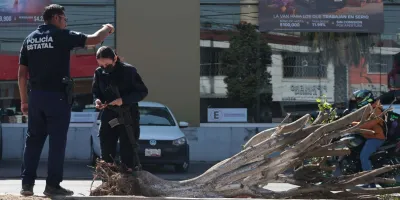 Vecinos descubren derribo de árboles en la Calzada Zaragoza; no fuimos nosotros: autoridades