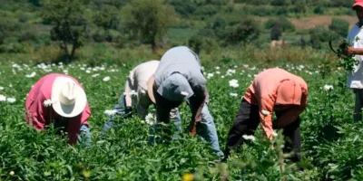 Inversión histórica en Puebla: duplican recursos al campo y apuntalan a Atlixco