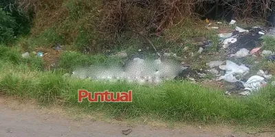 Abandonan cuerpo envuelto en cobijas en límites de El Verde y Texmelucan