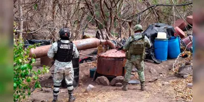 Ejército desmantela narcolaboratorio en Chila de la Sal