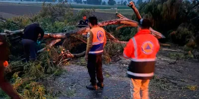 Tormenta provocó daños al campo, apagones y caída de árboles en Texmelucan 