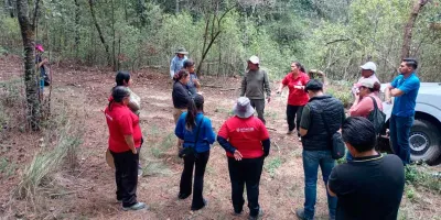 Vigilancia permanente en La Malinche controla la presencia del insecto descortezador