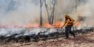 Conafor colocó a Puebla dentro del top en daños por incendios forestales 