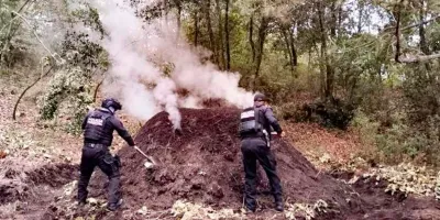 Destruyen hornos para quema de árboles en Ixtacamaxtitlán; no hubo detenidos