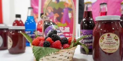 San Diego Buenavista invitó a su séptima Feria de las Berries