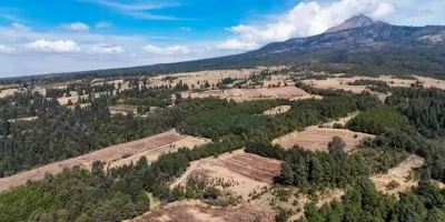 Constructores poblanos esperan fallo para participar en el Eco Parque Malinche 