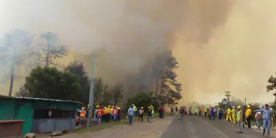 Puebla reduce incendios forestales en 2026; Tlachichuca encabeza casos