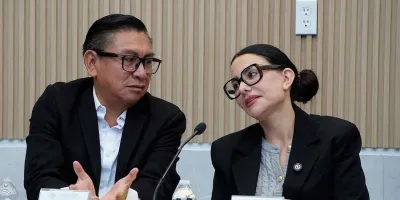 “Ley Salvatori” abre debate sobre exigir Derecho para ser diputado