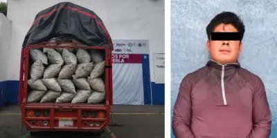 Policía Forestal detuvo a talamontes y recuperan cargamento de madera