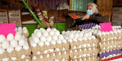 Precio del huevo rompe la tregua: sube 7.92% y presiona a hogares