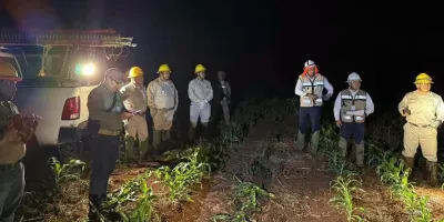 Mega apagón deja a cuatro estados del sureste sin luz; CFE acusa vandalismo en líneas de transmisión