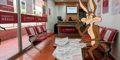 ¿Profeco podría hacer ganar al Coyote frente a ACME en México?