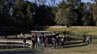 Entregan la primera etapa de rehabilitación del Bosque del Ajolote, en Xonacatepec