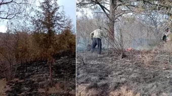 Incendio forestal acabó con 8 mil árboles en Texmelucan 