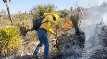 Brigadistas mueren calcinados al enfrentar incendios forestales en Puebla