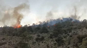 Viento complica labores para sofocar incendio forestal en Libres