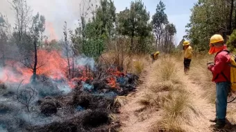209 brigadistas atacan el incendio forestal en Coyomeapan
