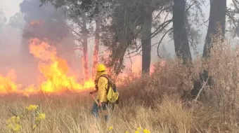 Incendio forestal en Honey y Pahuatlán destruye zona arbolada de la Sierra Norte