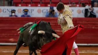 Continuarán las corridas de Toros en Plaza México; Tribunal revocó suspensión