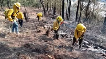 Incendio en Aquixtla acabó con 85 hectáreas arboladas; inicia otro en Flor del Bosque