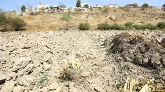 66 municipios poblanos son catalogados con sequía severa