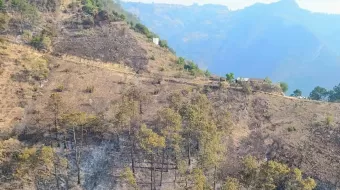 Puebla registra cuatro incendios forestales