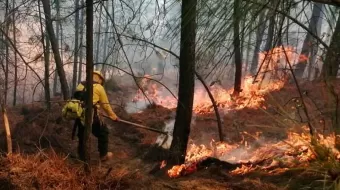 Tres incendios forestales simultáneos en Quimixtlán