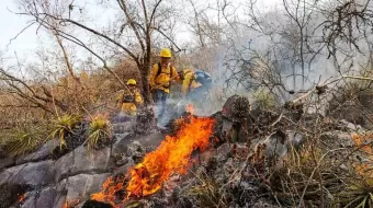 En el año suman 416 incendios forestales; hay 7 denuncias
