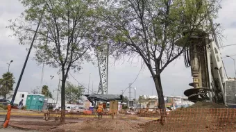 Ya están en malas condiciones los árboles que serán derribados por el distribuir vial Amalucan