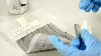 En la BUAP crean esponjas biodegradables y nanofibras poliméricas para regeneración ósea