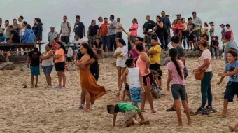 Avistan cocodrilo en playa de Miramar; genera pánico entre los bañistas