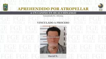 David atropelló a un canino en Huauchinango; ya está en prisión