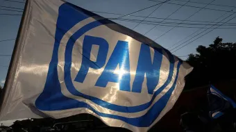 PAN descarta dedazo