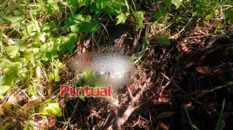 En Terreno de cultivo de Texmelucan hallan feto humano en bolsas plásticas