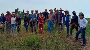 Con zanjas captadoras busca realimentar mantos freáticos en Tlahuapan