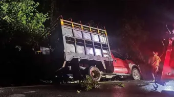 Camión con cerdos se accidenta en la Pachuca-Tuxpan