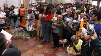 Celebran en Puebla la protección de San Antonio Abad con bendiciones a mascotas