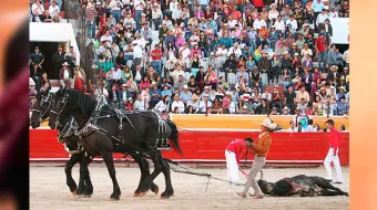 CDMX aprueba las corridas de toros sin violencia ¿Cuándo arranca?