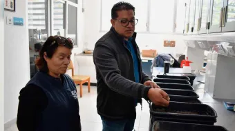 Investigadora del ICUAP estudia el comportamiento biológico de la plaga conocida como “gallina ciega” para su control