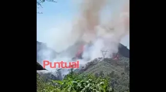 Incendio forestal arrasa el Cerro Tezonquipa en Chiconcuautla