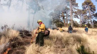 Voraces incendios calcinan el bosque poblano