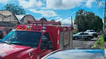 Tormenta en Atlixco deja varios árboles caídos 