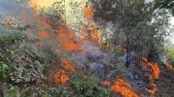 Brigadas controlan incendio forestal en Huauchinango