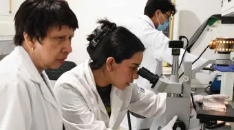 Por su relevancia científica, cuenta con tres solicitudes de patente