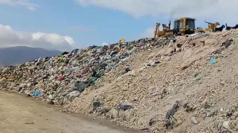 Daño ambiental a la reserva de la biosfera Tehuacán-Cuicatlán debe ser atendido por Profepa