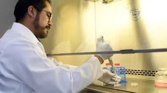 En el Instituto de Fisiología reside uno de los pocos grupos del país que estudia la relación estructura-función en las células cardiacas