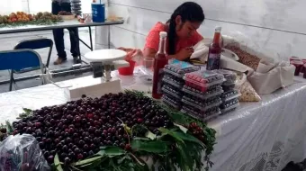 ¡A degustar el sabor de Izta-Popo! Domingo Arenas anuncia su 5ta Feria del Capulín