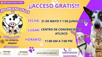 Atlixco se prepara para la Expo Mascotas 2025 con servicios gratuitos para los animalitos 